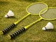Badminton Racket Set 2 Pack with Carrying Cover, Green