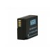 Newell DMW-BLC12 pakaitinis fotoaparato akumuliatorius (1200 mAh)