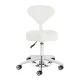 Kosmetologinė kėdė Azzurro 156-F Bump-Up, balta