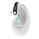 Belaidė vertikali ergonominė pelė Delux M618XSD BT+2.4G RGB, balta