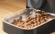 Automatinis augintinių šėryklas Oneisall PF05, 3L