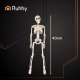 Ruhhy 40cm Posable Skeleton for Halloween, White
