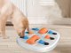 Educational Logic Game and Chew Toy for Dogs, 34x34 cm