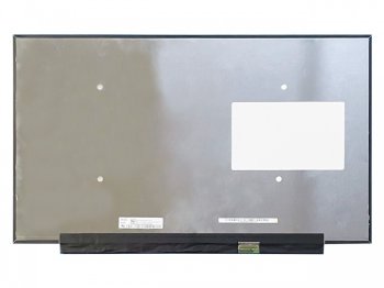 LCD ekranas 17.3" 1920x1080 FHD IPS 360Hz matinis 40 pin dešinėje