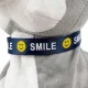 Interactive dog SMILE Gray Hasky