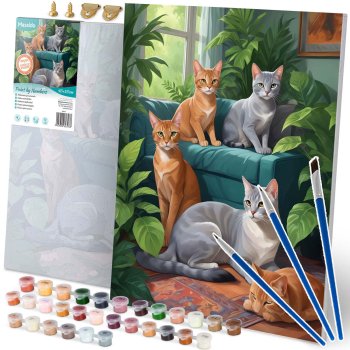 Massido Paint by Numbers 40x50 cm, Cats