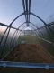 Greenhouse Klasika Arrow 3X8M (24M2) With 6Mm Polycarbonate Coating
