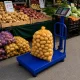 Elektroninės platforminės svarstyklės su atrama, 100 kg, LCD, mėlynos
