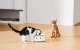 Išmanusis kačių maisto dozatorius Catlink F03 Standard su RFID