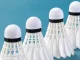 Feather Badminton Shuttlecocks 12-Pack Durable Birdies, White