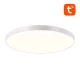 Išmanusis lubinis šviestuvas Gosund LB11 32cm WiFi/Bluetooth RGBCW 1920lm su pultu