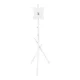 Maclean MC-181 W grindinis televizoriaus stovas (27-55\", 60kg, VESA 200x200)