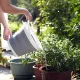 Didelis sulankstomas silikoninis kibiras su rankena 5L pilkai baltas