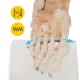 4FIZJO 1:1 čiurnos sąnario anatomis modelis su raiščiais