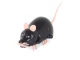 Vibrating Electric Mouse Interactive Cat Toy