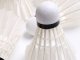 Feather Badminton Shuttlecocks 12-Pack Durable Birdies, White