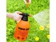 Pressure Sprayer for Plants, 2L, Orange
