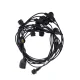 Forever Light Outdoor String Lights 12m, 10x E27, IP65
