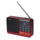 Setty mini FM radijas ir Bluetooth garsiakalbis SFM-01M