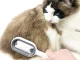 Silicone 3-in-1 Brush for Dog and Cat Hair Grooming and Washing