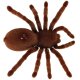 Nuotoliniu būdu valdomas tarantulas, RC voras, rudas