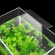 LED akvariumo šviestuvas 5W