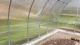 Šiltnamis KLASIKA TUBE 3x8 m (24 m²), 4 mm polikarbonatas, su pamatu