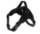 Pressure-Free Dog Harness, Size S