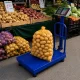 Elektroninės platforminės svarstyklės su atrama, 100 kg, LCD, mėlynos