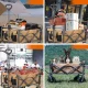 Sulankstomas sodo vežimėlis Qunature 125027, rudas