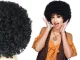 Black Curly Afro Wig for Carnival and Party