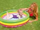 Bestway 51104 Inflatable Kids Pool, 102 x 25 cm, Colorful