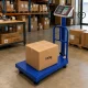 Elektroninės platforminės svarstyklės su atrama, 100 kg, LCD, mėlynos