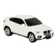 RC Car Model with Remote, BMW X6 (1:24)