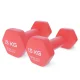 4Fizjo Classic Cast Iron Dumbbells with Vinyl Coating, 2 x 1.5 kg, Red