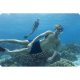 Bestway 25020 Snorkeling Set (Mask, Snorkel, Fins 41-46), Turquoise