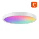 Išmanusis lubinis šviestuvas Gosund LB12, 30 cm, WiFi/Bluetooth, RGBCW, su nuotolinio valdymo pultu