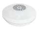 Bestway 58419 plūduriuojantis baseino LED šviestuvas