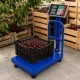 Elektroninės platforminės svarstyklės su atrama, 100 kg, LCD, mėlynos