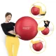 4FIZJO Reh Ball Gymnastic Exercise Ball 75 cm with Pump, Red