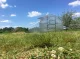 Šiltnamis Baltic LT 3x12 m su 4 mm polikarbonatu