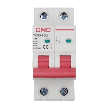 Automatinis jungiklis 2P, 16A, C tipas, 6kA