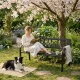 MultiGarden sodo suolas su dekoratyviu atlošu, 120x50 cm, juodas