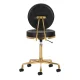 Activeshop H5 kosmetologinė kėdė su atlošu, juoda/auksinė