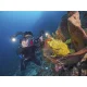 Sealife Sea Dragon 5000+ Color Boost povandeninis šviestuvas