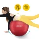 4FIZJO Reh Ball Gymnastic Exercise Ball 75 cm with Pump, Red