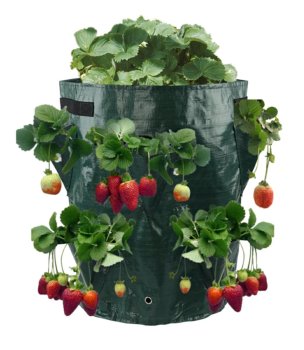 Strawberry Planting Bag, Green