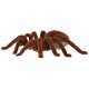 Nuotoliniu būdu valdomas tarantulas, RC voras, rudas