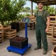 Elektroninės platforminės svarstyklės iki 100 kg, LCD, mėlynos
