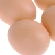 Dummy Egg for Hens, 1 Pcs, Brown